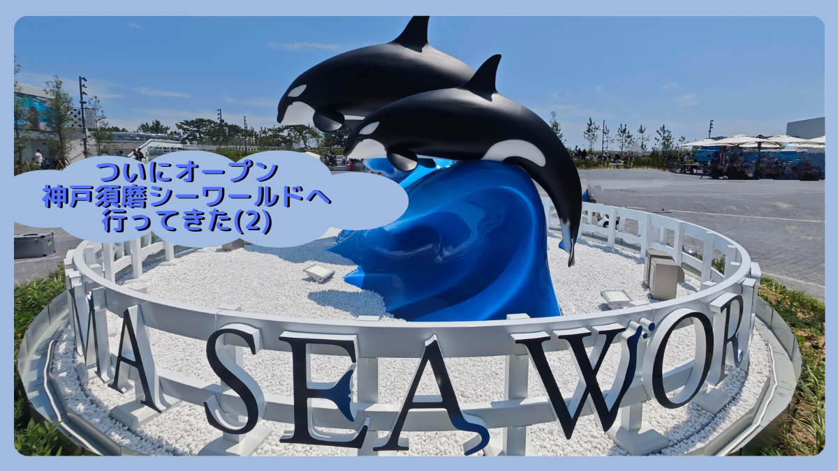 ドルフィンライブ 投稿 
